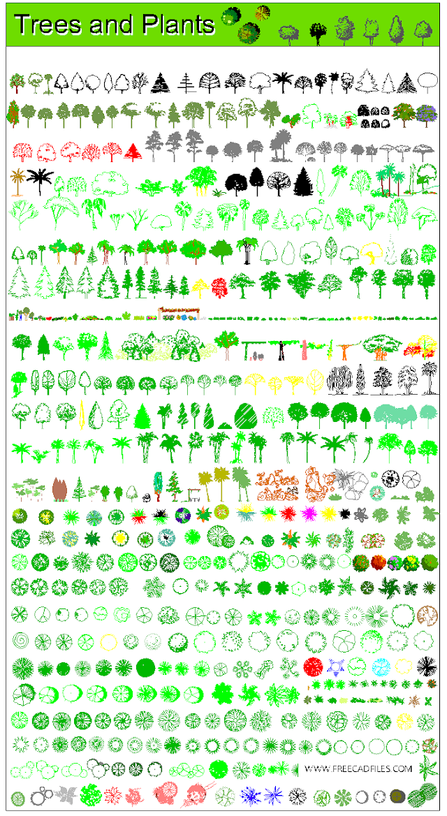Trees and Plants Blocks DWG